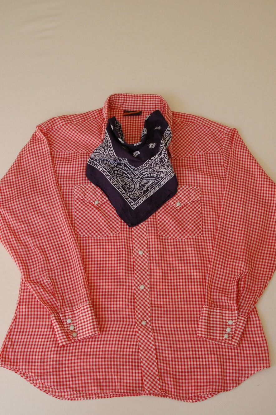 True VNTG 70s Westerner Atlantis Pearl Snap Shirt Red Gingham Men Large